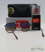 Lunettes de soleil Ray-Ban Marshal II RB3648M marrons avec cerclages en acétate marron et verres dégradés marrons, étui noir, boîte grise et livret de garantie chez Optical Gallery.