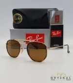Lunettes de soleil Ray-Ban Marshal II RB3648M dorées avec cerclages en acétate écaille de tortue et verres marrons B-15, étui noir, boîte grise et livret de garantie chez Optical Gallery.